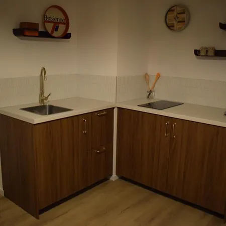 Apartment Le 70s 2 Pieces Proche Colmar